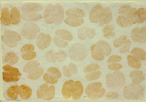 Indipaper - white heart leaf (white heart leaf)